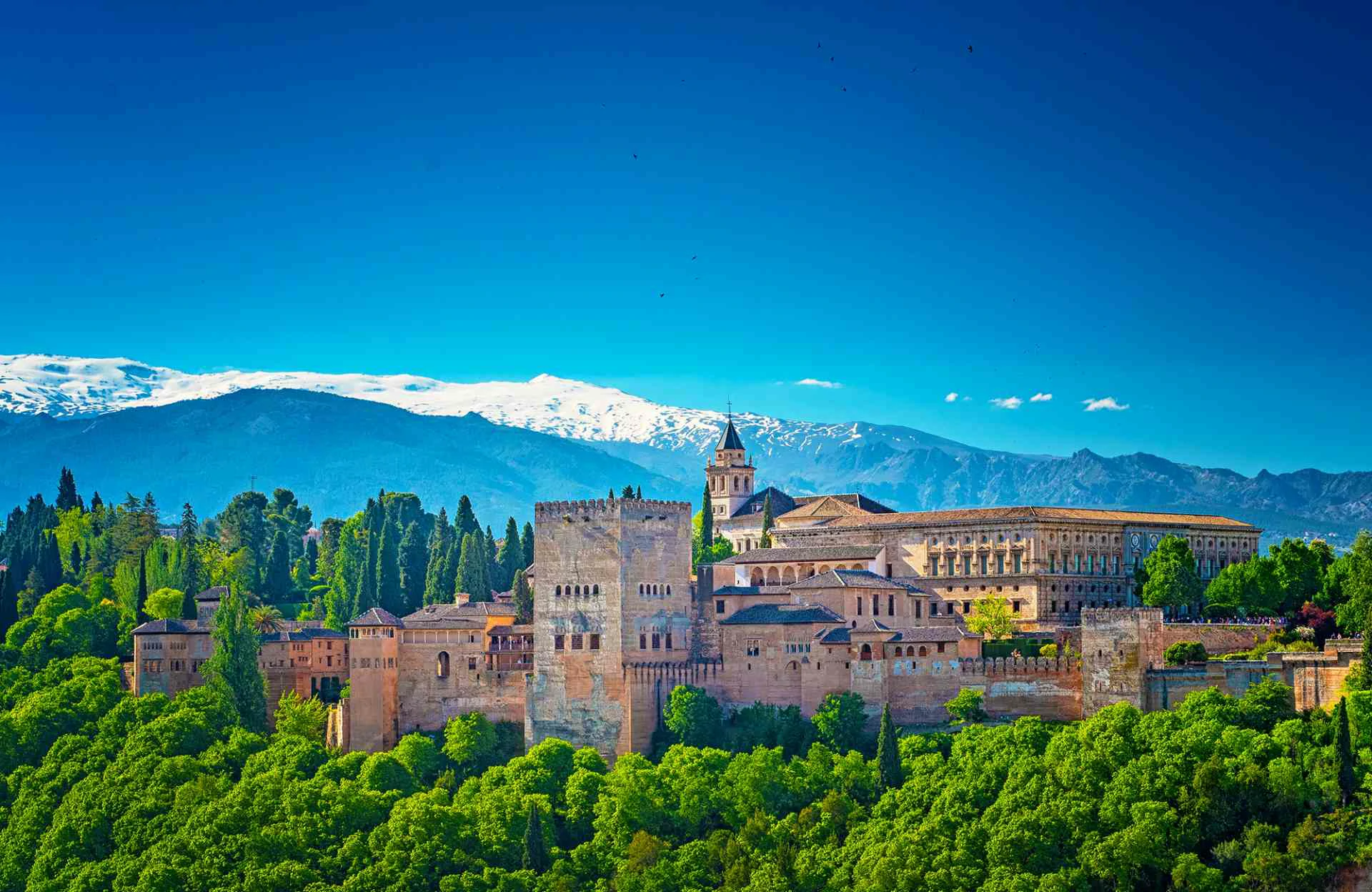Spain Granada Alhambra Palace Adobe Stock feature