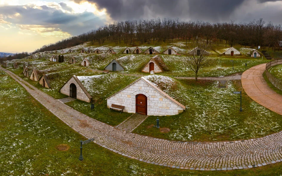 Taste Hungary Hercegkut wine cellar row Tokaj region scaled 1